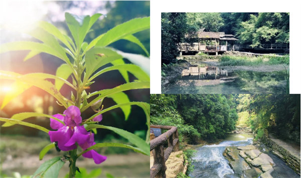 “湘”約鳳凰,相守未來——2022博皓快樂湖南行 -34